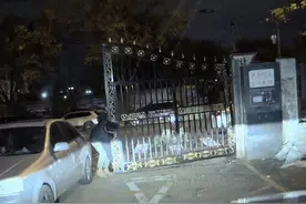 围栏倒了、树枝断了…… 大风频“惹祸”，出行注意安全图片