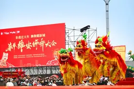 雄安狮舞大会闹新春！年味儿拉满！图片
