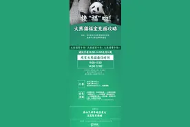 看福宝的最佳时间来了 大熊猫“福宝”6月12日与公众见面图片