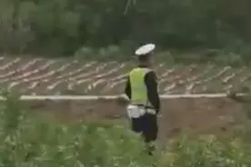 眉山仁寿县11岁女孩外出玩耍被害，村干部：嫌疑人系当地人视频封面