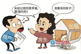 租客养猫房东告上法庭要求搬走图片