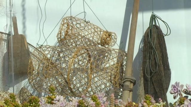 去一次就爱上！昆明滇池边的“小鼓浪屿”，是你冬日治愈的天花板~