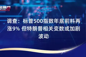 调查：标普500指数年底前料再涨9% 但特朗普相关变数或加剧波动视频封面