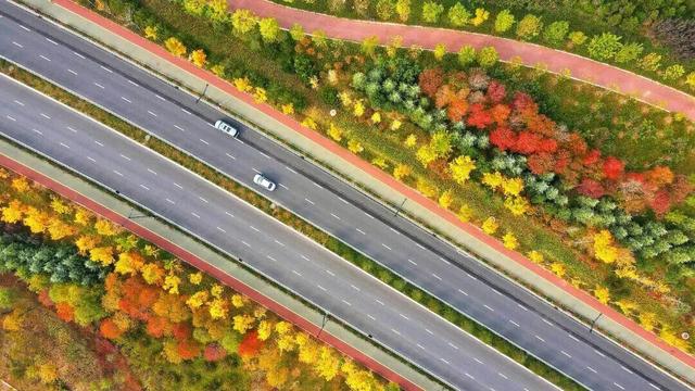 绝绝子！除了绝绝子，我还能怎么夸洛阳