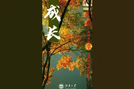 如果，这都不算爱……图片