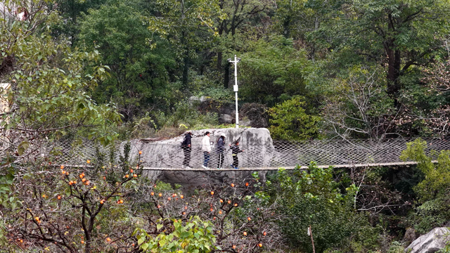 “彩林幻境 裂谷新章”2025年熊耳山第二届彩林文化旅游季活动举行