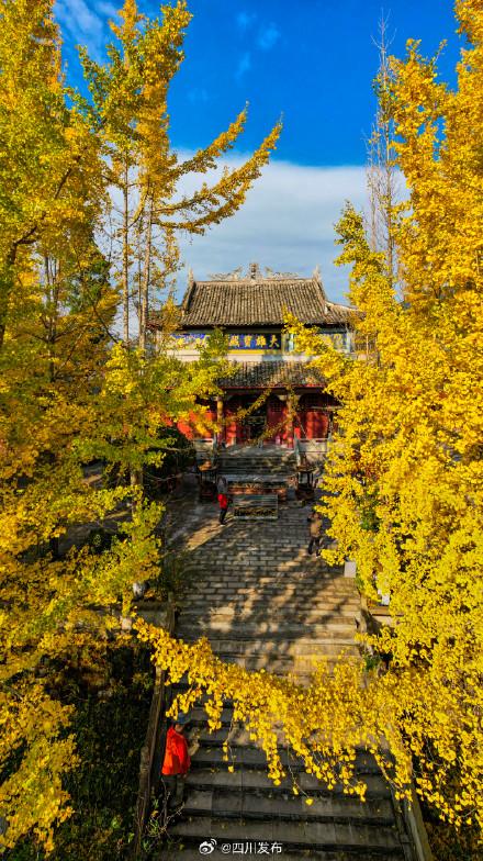 四川这份深秋限定浪漫，等你“淘”取！