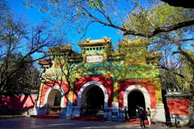 蜡梅开啦！还有“季节限定返场”美景，就在图片