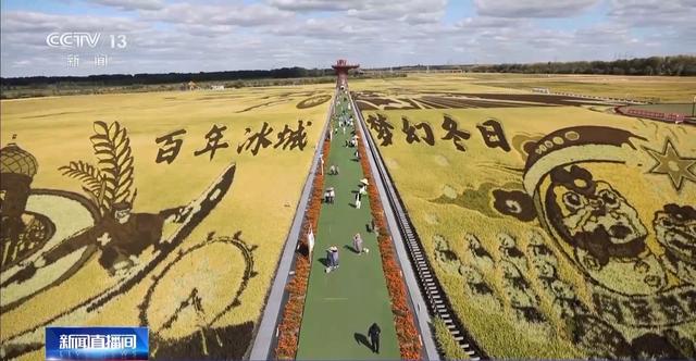 淄博→尔滨→天水 “网红城市”“火爆出圈”后如何“四季长红”?