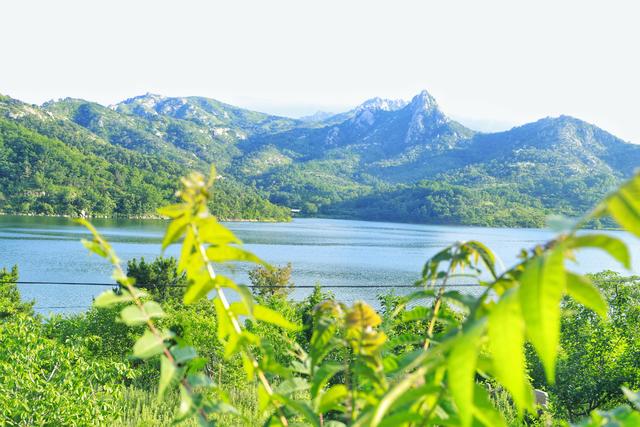 “山东邂逅美”摄影大赛｜美丽乡村：玉皇山后村夏日美景