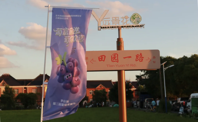 北上海的千亩花田里，能否长出“网红村”
