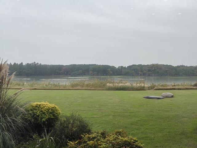 叶辛：沧海桑田三甲港