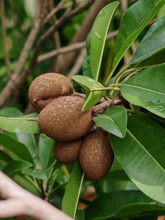 趁秋色浪漫，见一面吧