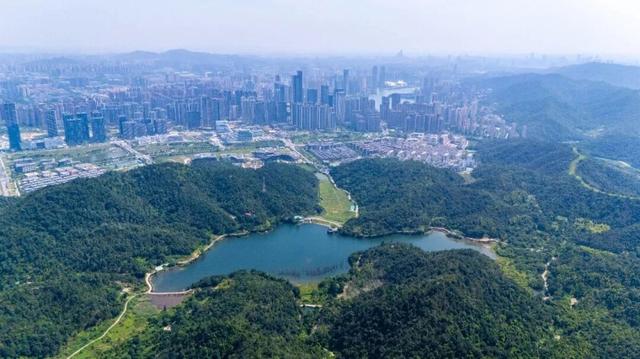 陡坡、碎石与消失的信号……象鼻窝森林公园违规野爬危险程度如何？记者实地探访