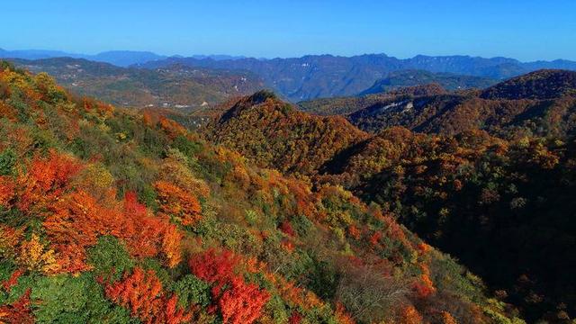 寻美兴山：又见榛子红