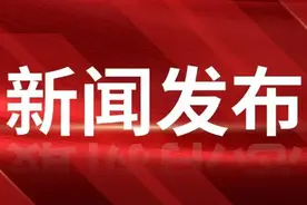 枣庄市市中区多向发力促发展，2025年GDP目标增长6%左右图片
