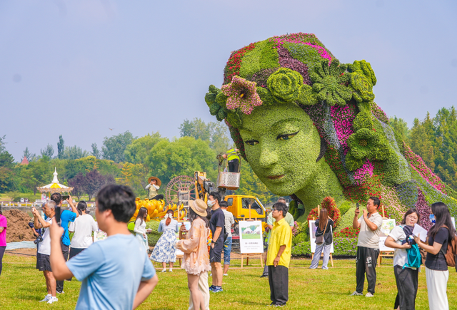 今开幕！顺义这片10万平米花海，壮观！