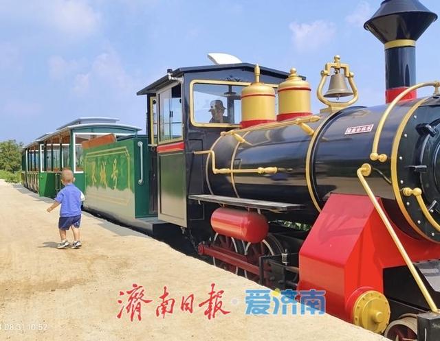 记者随笔丨逛展会，感受济南“数智”新气象