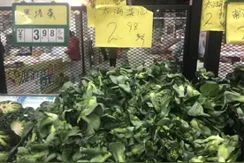 菜苔、蚕豆、春笋、马兰头……上海菜场到了一年中最鲜嫩的季节，有人说，他家附近菜场的春菜要抢图片