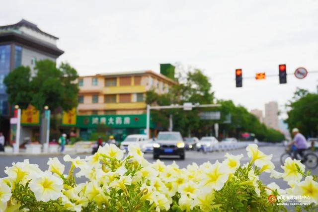 临夏市：一座把“浪漫”写进马路牙子的城市
