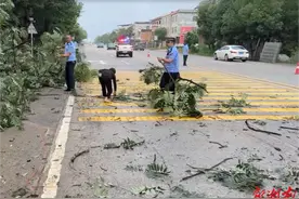 道县：大树被风雨刮倒堵路 交警化身“清理工”图片