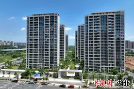 武汉长江新区首个青年人才公寓揭牌图片