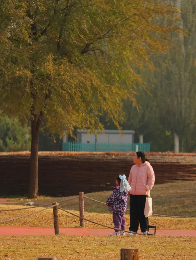 听，呼和浩特秋天的BGM正在你耳边播放