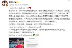 樊振东退出世界排名不退役图片