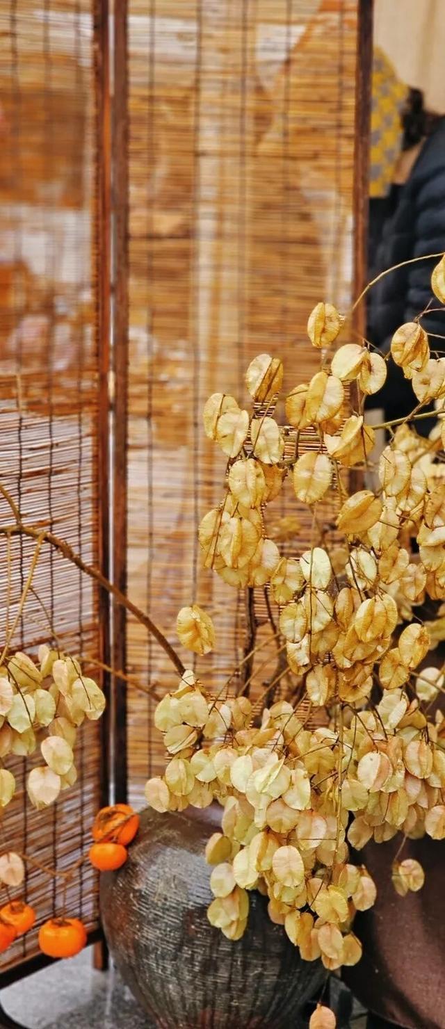 连云港“未来之门”火起来！