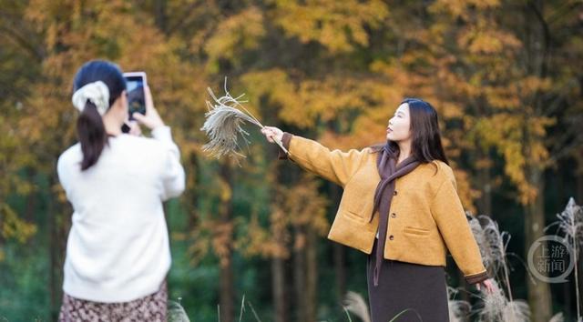 彩林进入黄金期，这条旅游公路美出圈！