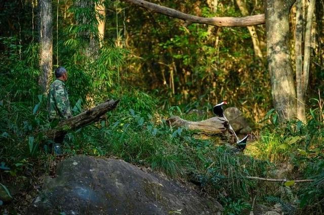 快来解锁三明 “村游” 奇遇记