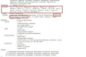 全球首现！湖南郴州发现全新B等位基因型血型，稀有程度远超“熊猫血”图片