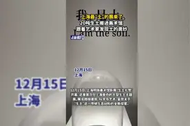 上海最“土”的展来了！20吨生土搬进美术馆，跟着艺术家发现土的奥妙图片