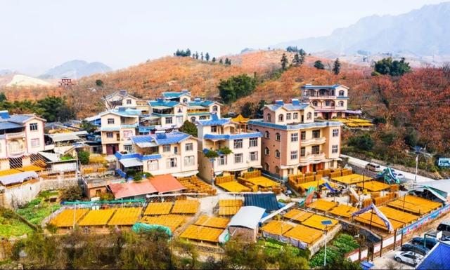 周末不忙，来趟平乐