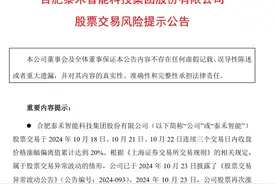 V观财报｜泰禾智能：阳光新能源不存在12个月内改变公司主营计划图片