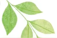 【广乔学社•美文鉴赏】“共沐书香 阅见世界”主题读书月活动——《被讨厌的勇气：一场拯救自我的哲学对…图片