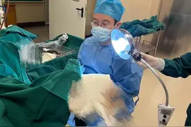 即诊即治！中国医大一院妇科“门诊宫腔镜一体化诊疗中心”成立！图片