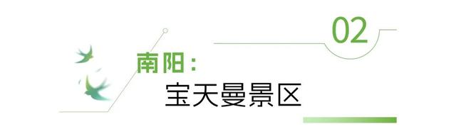 河南“天然空调房”地图上线！快来场“森呼吸”