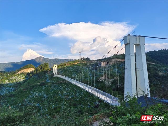 高清湖南丨花海与云海，隆回龙瑶幽谷的双重浪漫
