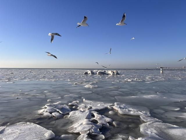 冬日秦皇岛：冰冻的海面藏着别样的美