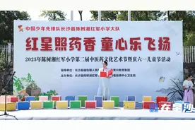 红星照药香 童心乐飞扬 福临镇陈树湘红军小学举办第二届中医药文化艺术节暨庆六一活动图片