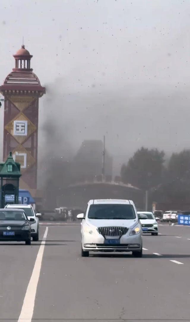 内蒙古阿尔山满天飞虫，吓哭密集恐惧症游客，当地居民：秋季常见，无毒也不咬人