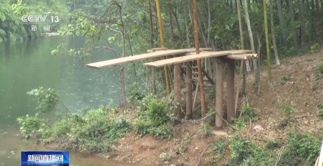 江苏一景区“月均6万元收编泼猴”引关注 “人猴冲突”如何解决？