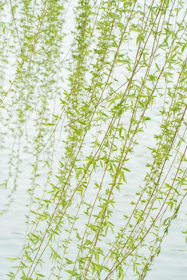 四时天工 扬州如画