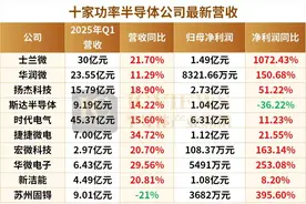 国产功率半导体公司，大涨图片