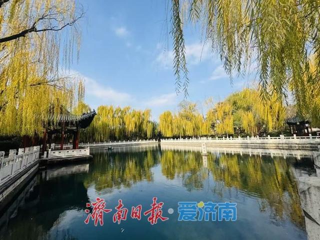 一年四季 泉在济南丨蓝天白云映清泉 济南珍珠泉冬日景致引客来