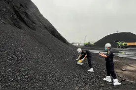 海东新区海关“出实招”支持湛江外贸质升量稳图片