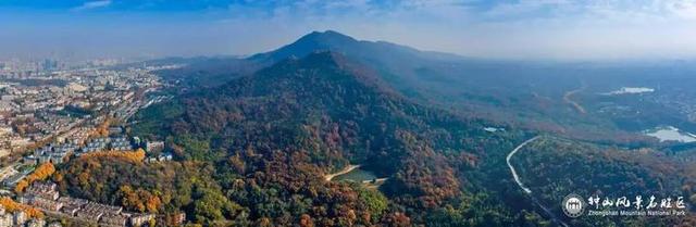 没来过紫金山，就不算看过南京的秋