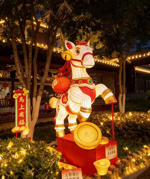 门东新“顶流”！一棵美到让全南京排队围观的树！