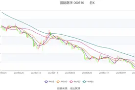 国际医学：2024年上半年亏损1.74亿元图片